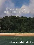 vignette